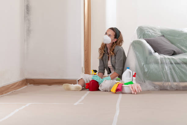 Reliable Mold Remediation contractor in Basking Ridge, NJ by Cheap Mold Removal